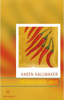 "Transporte-moi", un roman sentimental lesbien de Karin Kallmaker.