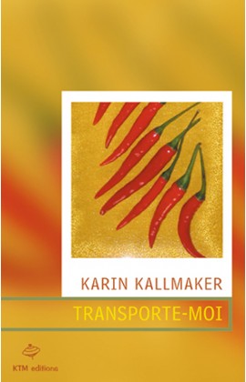 "Transporte-moi", un roman sentimental lesbien de Karin Kallmaker.